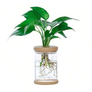 Plant Propagation Vase X 3 Hydroponic Aquaponic Beta Fish